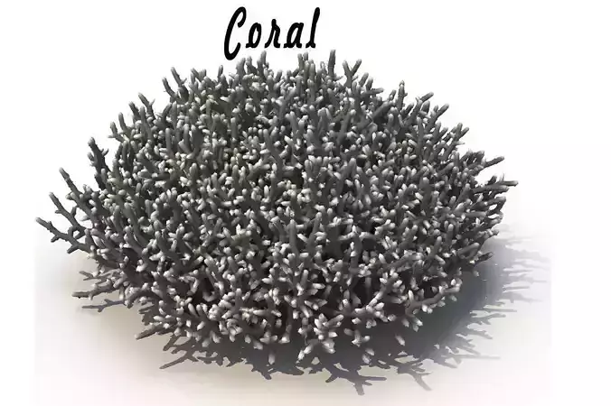 Coral artificial 3D model
