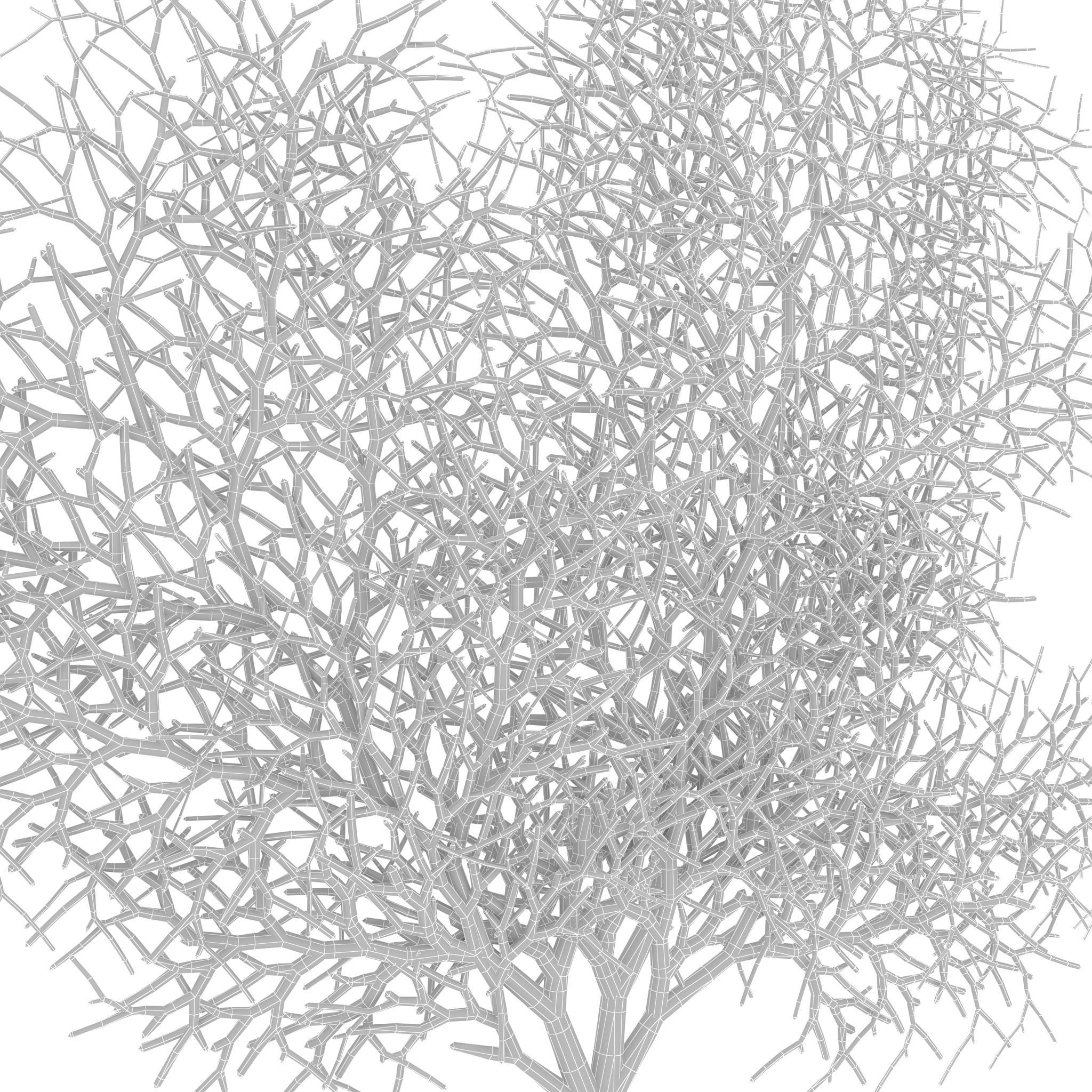 Red Coral 1 3D model_9