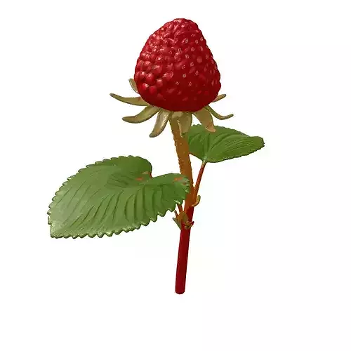 Realistic Wild Berry Plant 3D Model 3D model 6