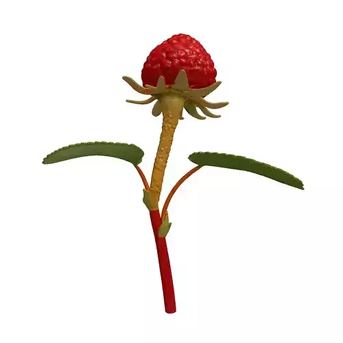 Realistic Wild Berry Plant 3D Model 3D model 5
