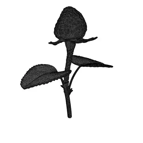 Realistic Wild Berry Plant 3D Model 3D model 2