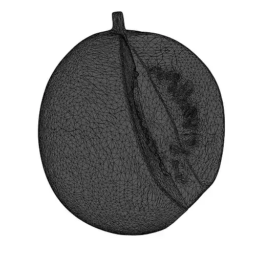 Realistic Sliced Watermelon 3D Model 3D model 2