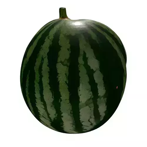 Realistic Sliced Watermelon 3D Model 3D model 7