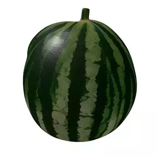 Realistic Sliced Watermelon 3D Model 3D model 6