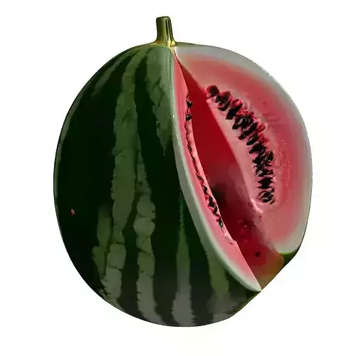 Realistic Sliced Watermelon 3D Model 3D model 4