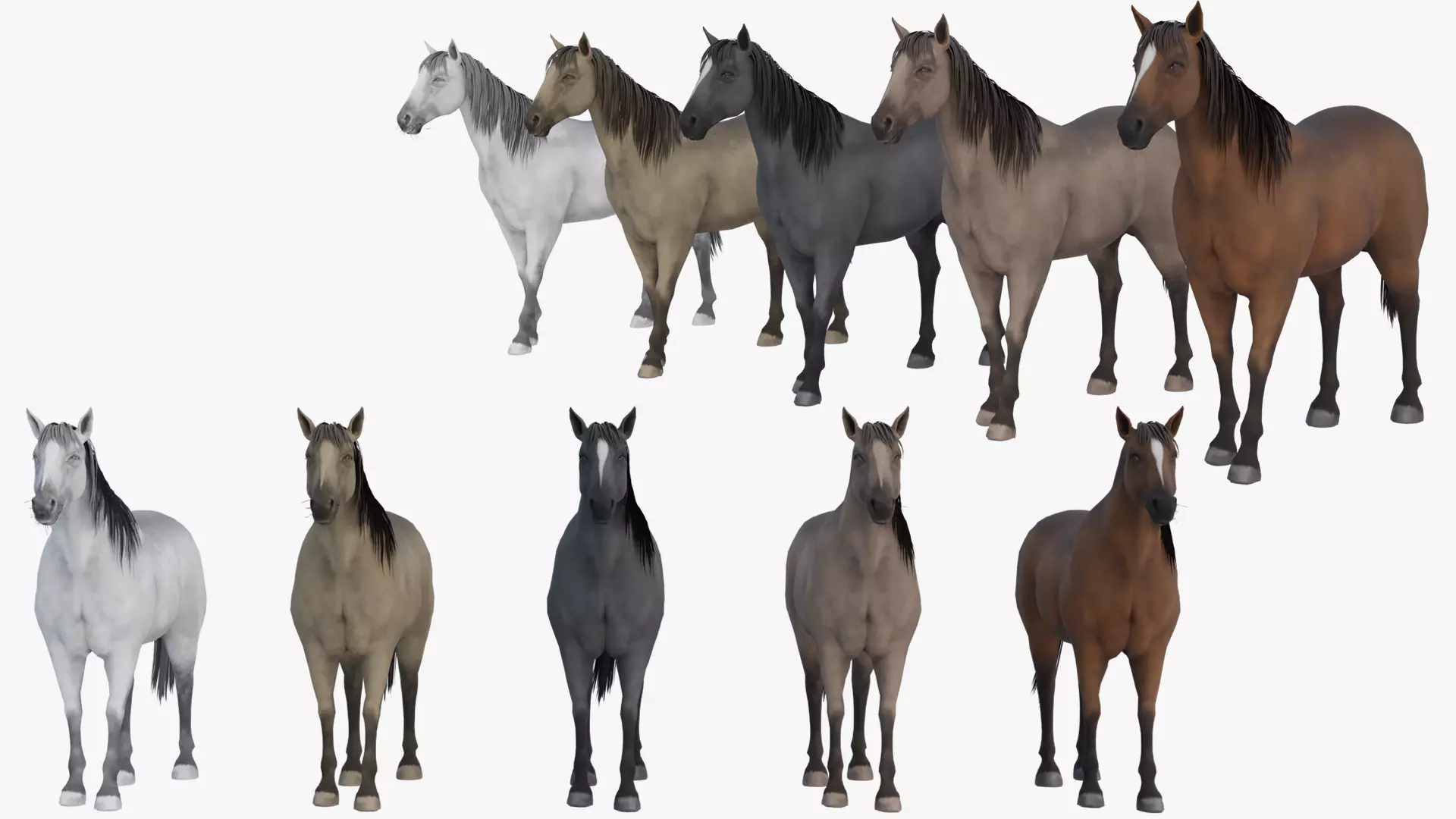 Horses Models Set Multi Color Variants 3D model