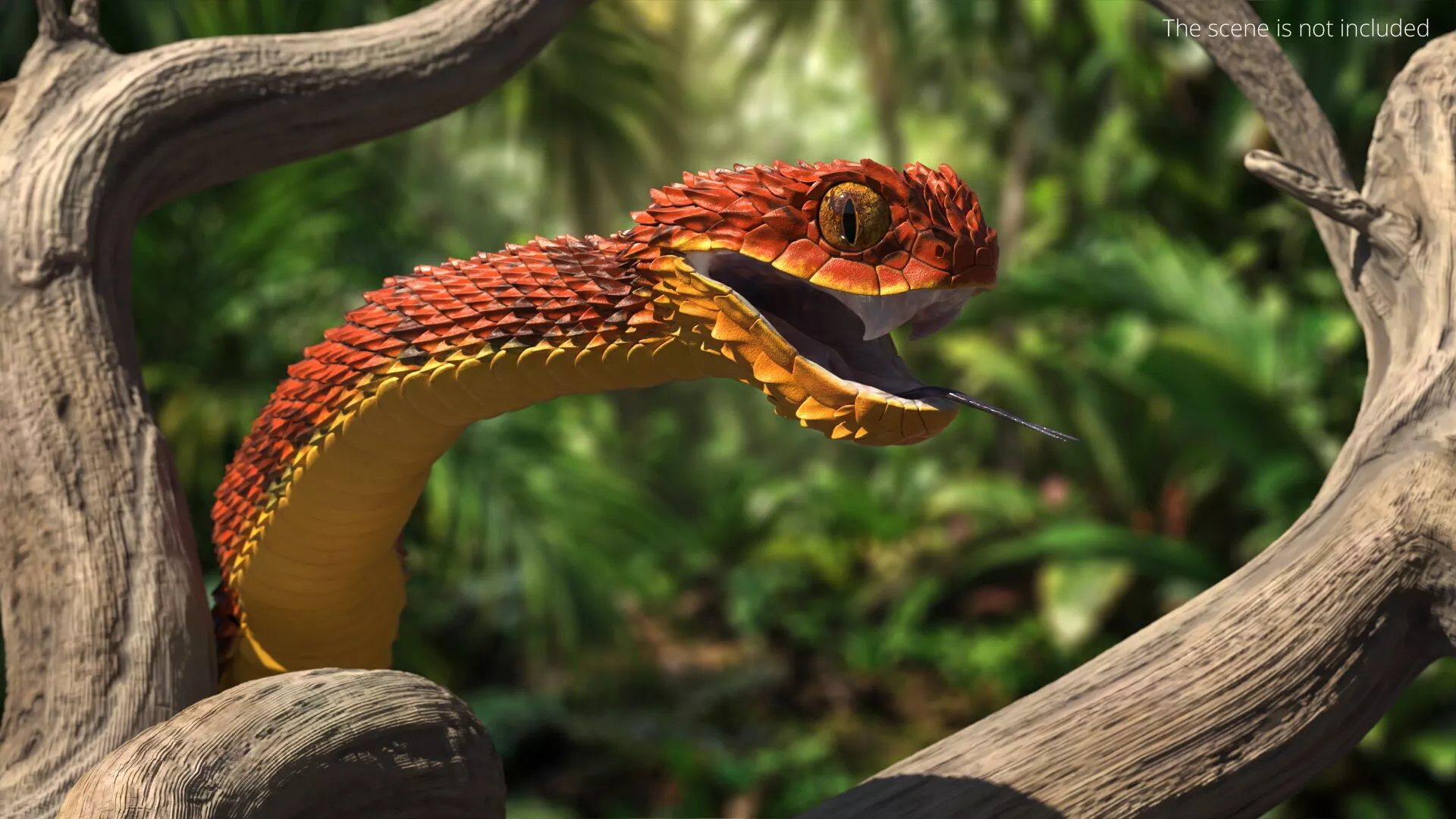 Atheris Hispida Bush Viper Red Rigged 3D model