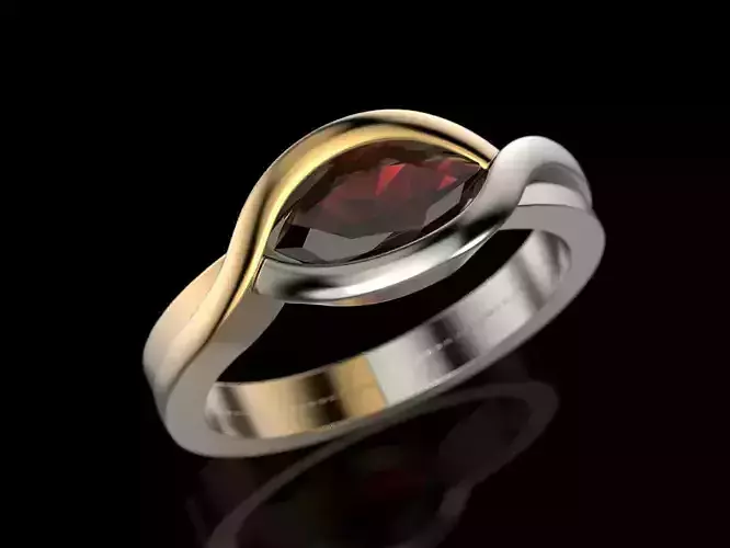 2 Metal Ring