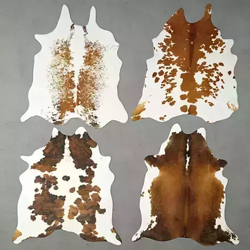 Rugs 7 cowhide rug