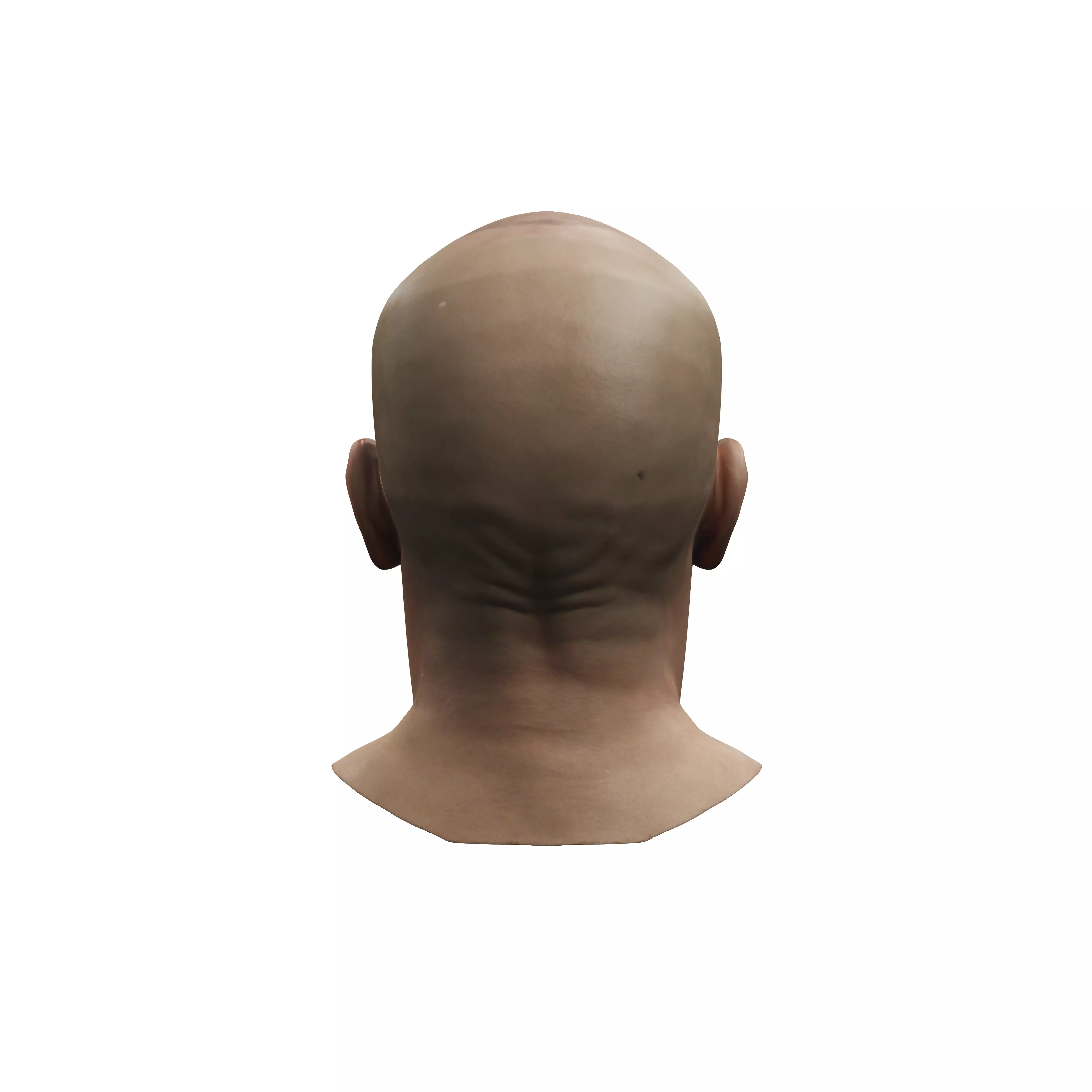 Highly detailled man head with no hair looking as brad pitt 3D model