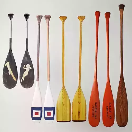 Canoe Paddles 3D model