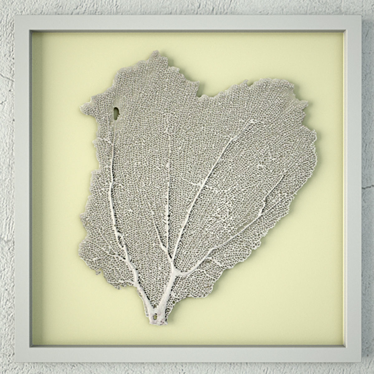 Sea Fans 3 3D model_4