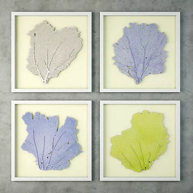 Sea Fans 3 3D model_0