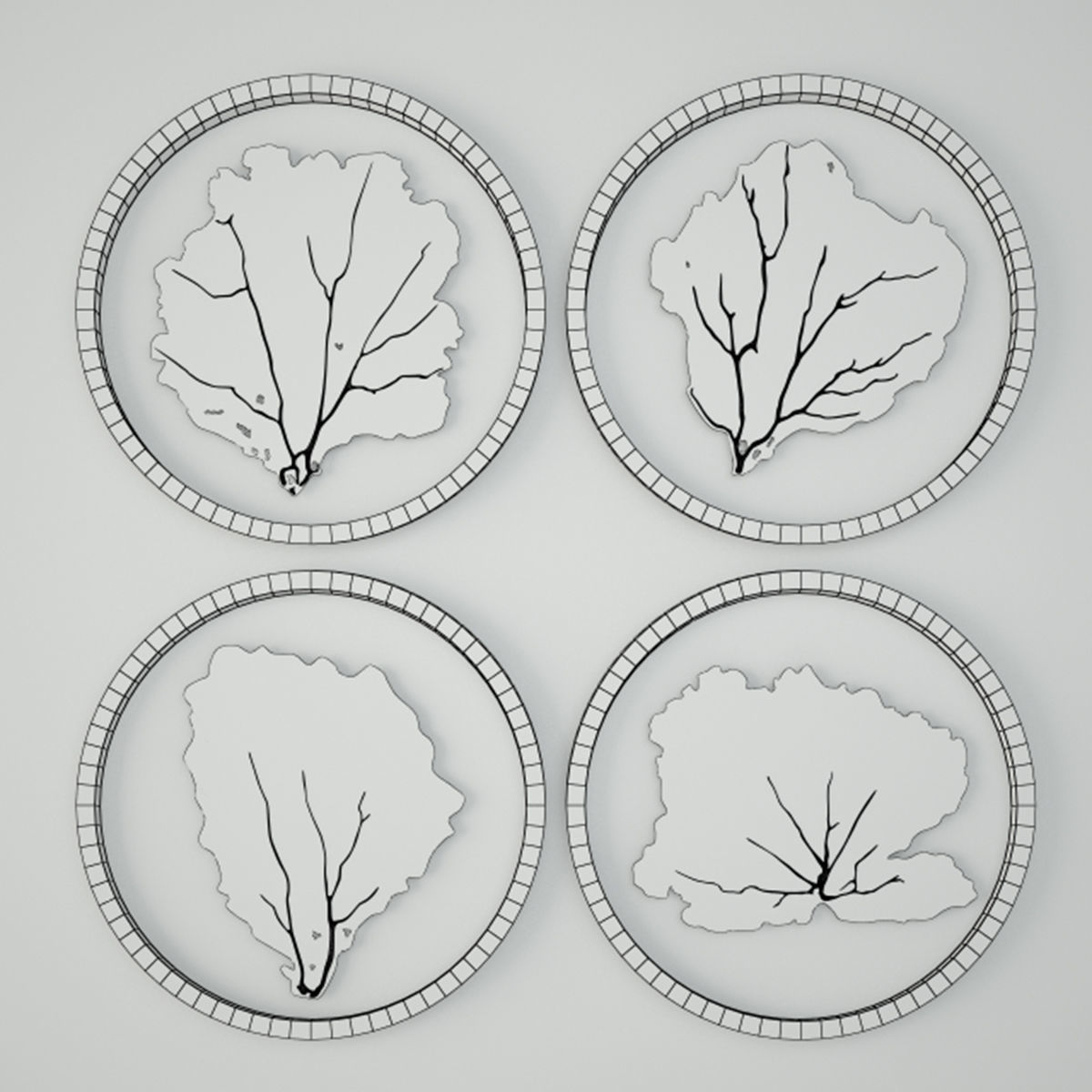 Sea Fans 5 3D model_1