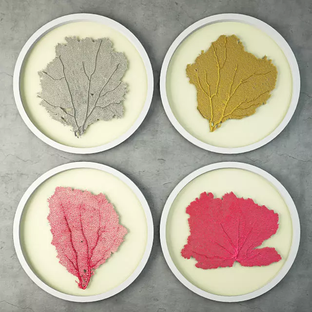 Sea Fans 5 3D model_0