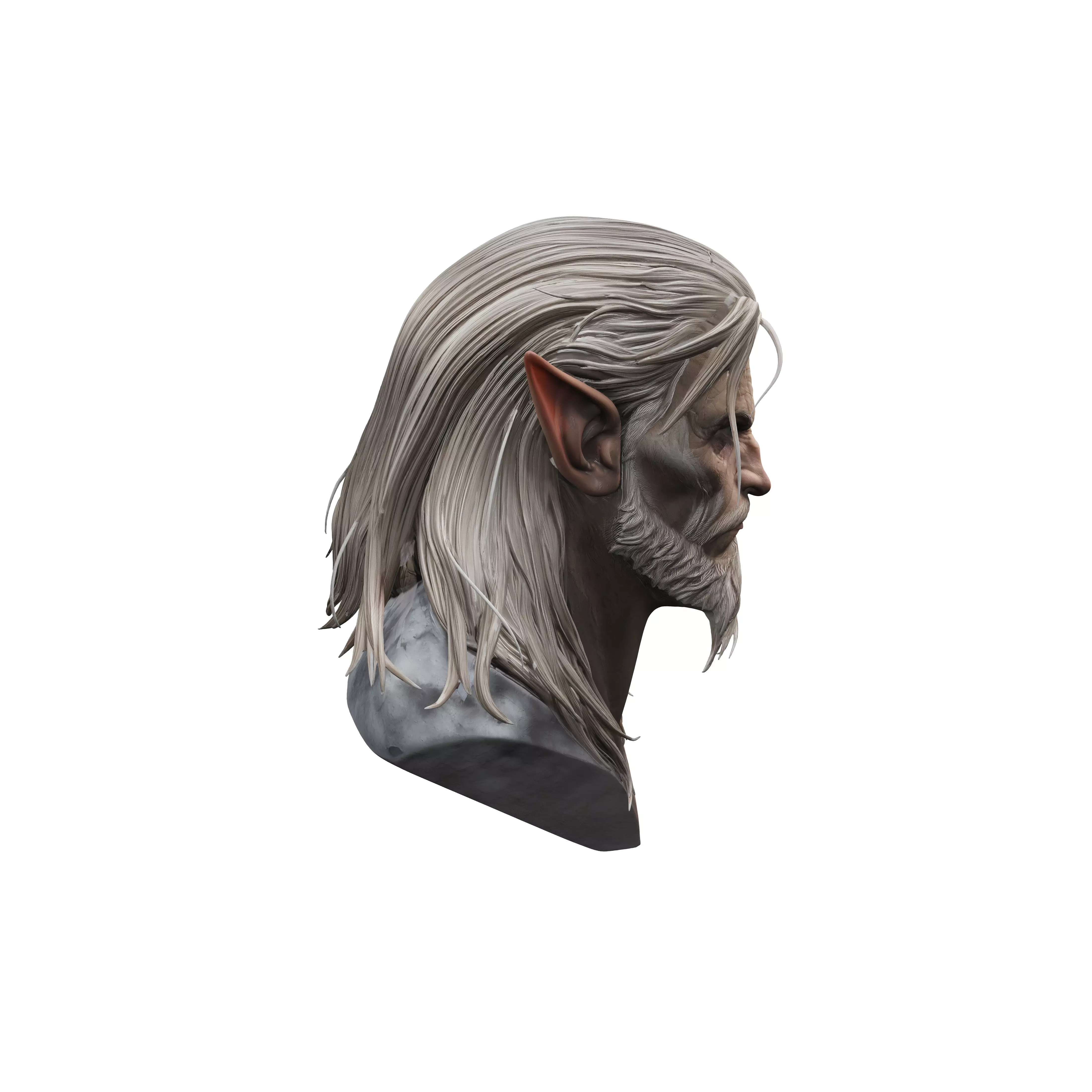 Scarred Elder Elf 3D model