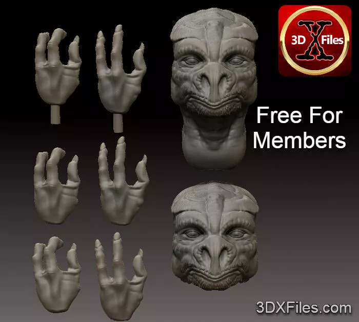 Master Eeko-Dio Daki - Star Wars Custom Headsculpt 3D print model