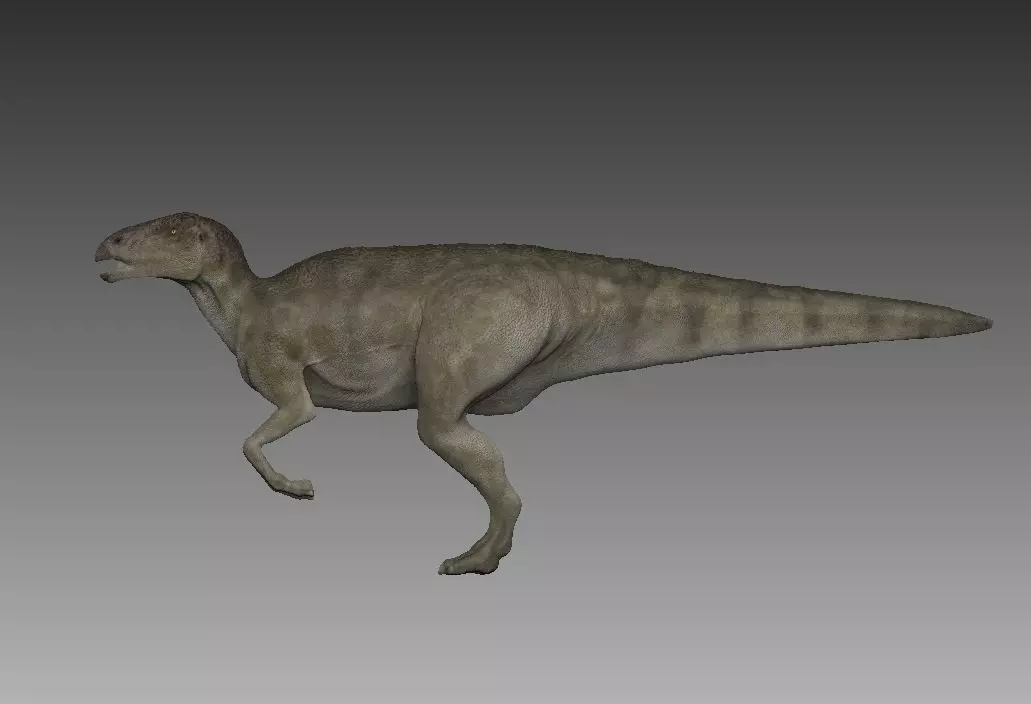 hadrosaure dinosaur Low-poly 3D model_0