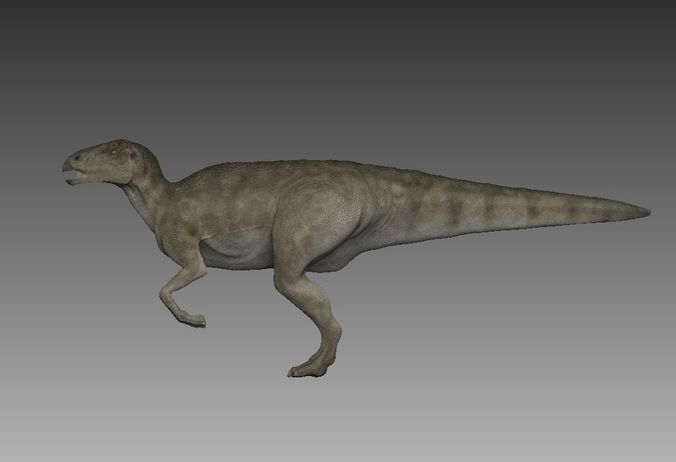 hadrosaure dinosaur Low-poly 3D model