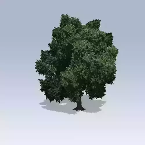 Simple Tree 02 Low-poly 3D model