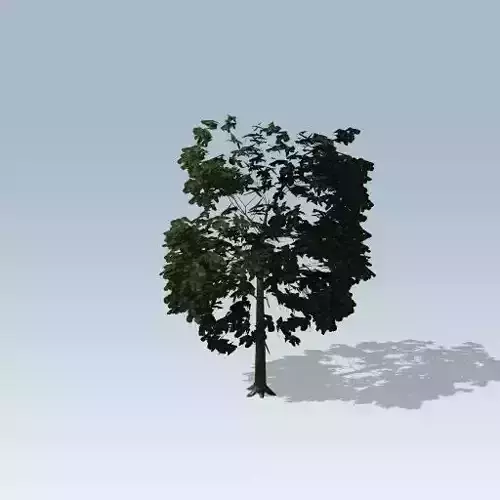 Simple tree 03