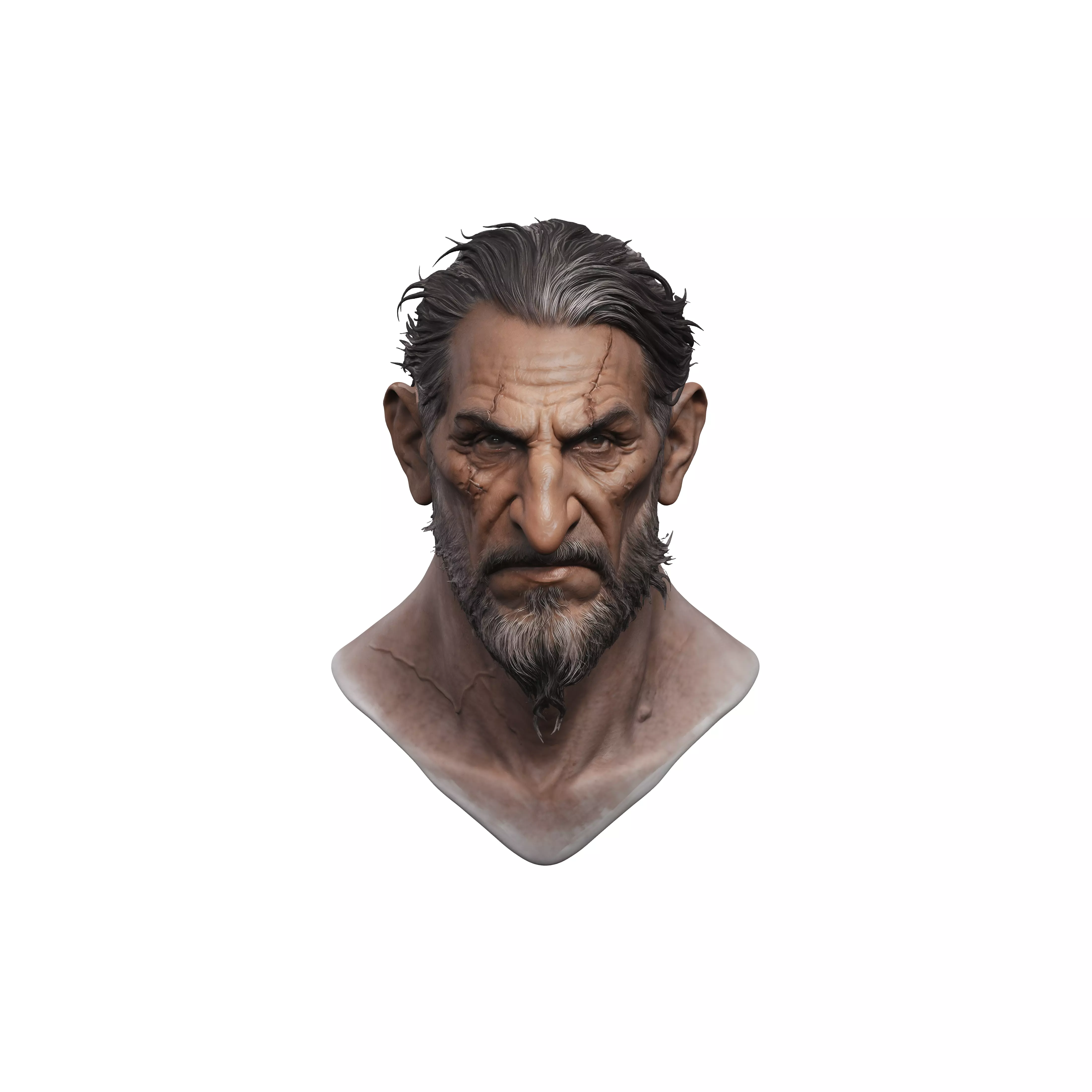 The Scarred Elder 3D model
