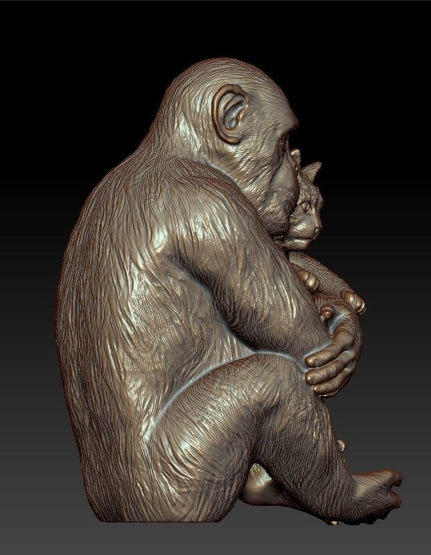 Sculpture Chimpanzee with cat 50cm  3D print model_4