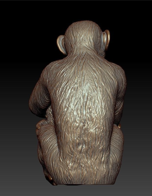 Sculpture Chimpanzee with cat 50cm  3D print model_5