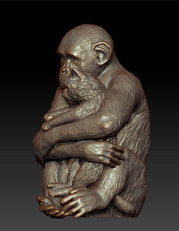 Sculpture Chimpanzee with cat 50cm  3D print model_3