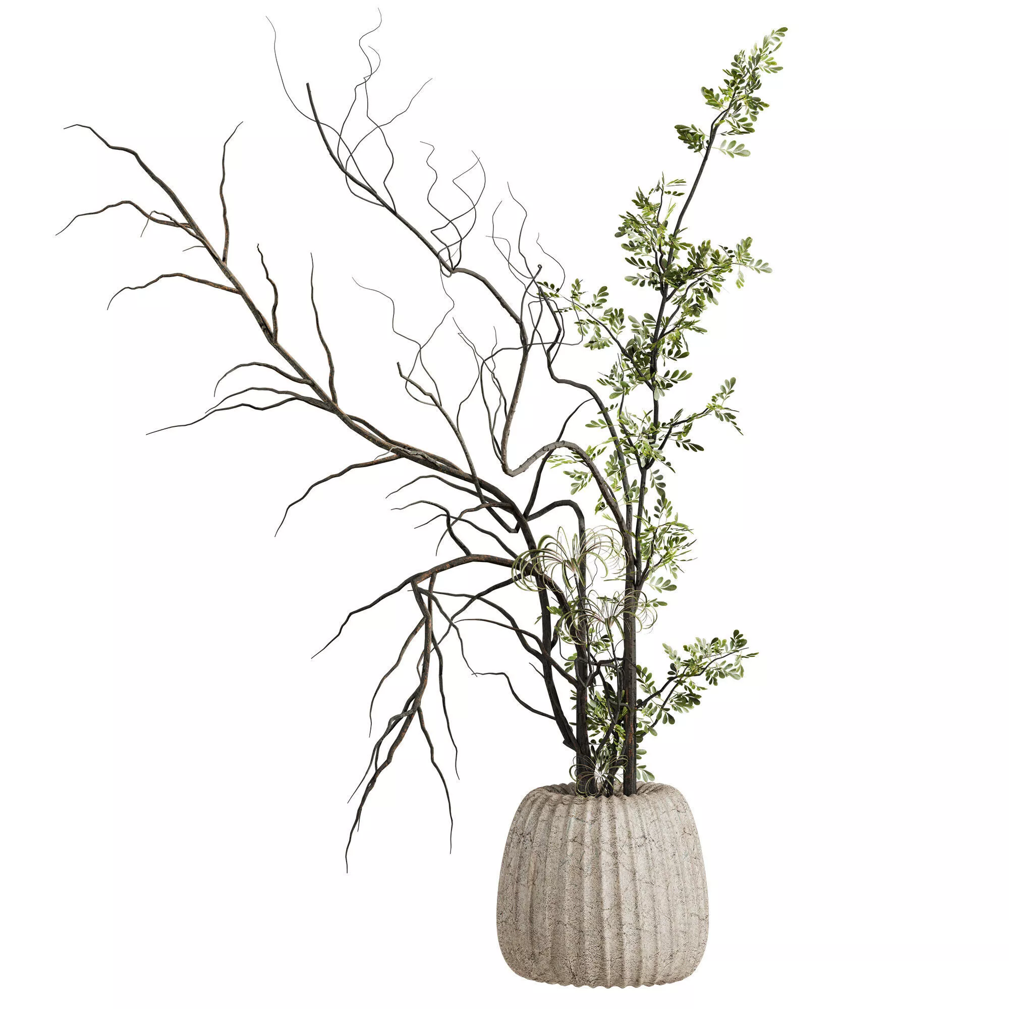 potted plant 3D model