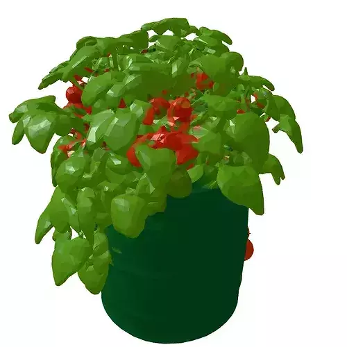 Tomato Plant in Barrel Planter 3D model 6