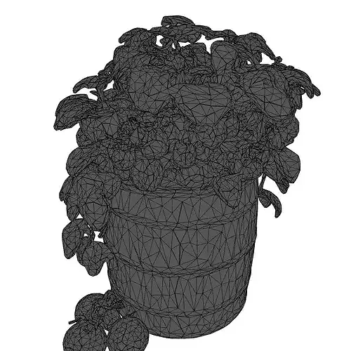 Tomato Plant in Barrel Planter 3D model 2