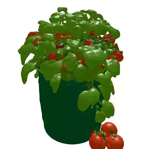 Tomato Plant in Barrel Planter 3D model 7