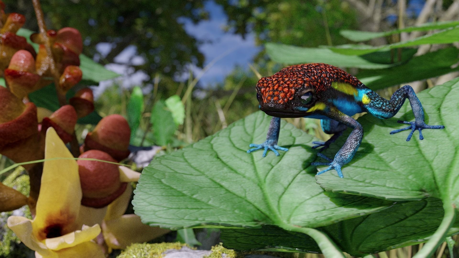 Arrow Frog rigged VR AR low-poly 3d model