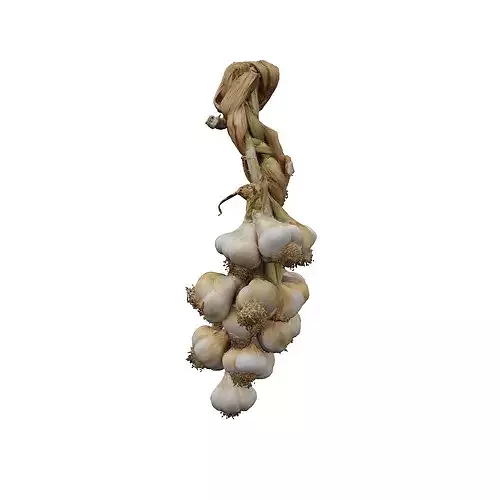 Braided Garlic Display food 3D model