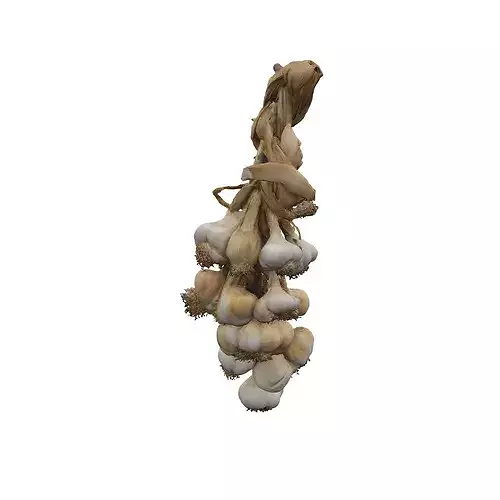 Braided Garlic Display food 3D model 7