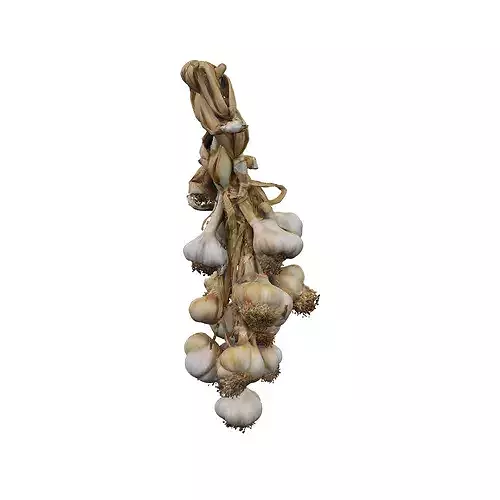 Braided Garlic Display food 3D model 4