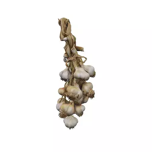Braided Garlic Display food 3D model 5