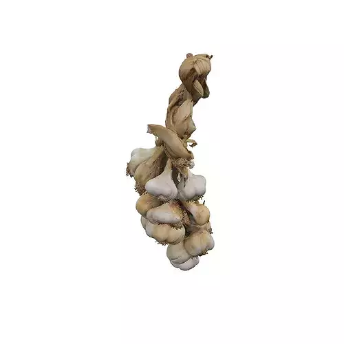 Braided Garlic Display food 3D model 6