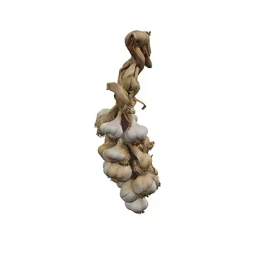 Braided Garlic Display food 3D model 2
