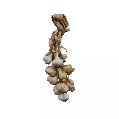 Braided Garlic Display food 3D model 3