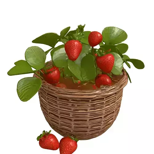 Realistic Strawberry Plant Basket Model 3D model 4