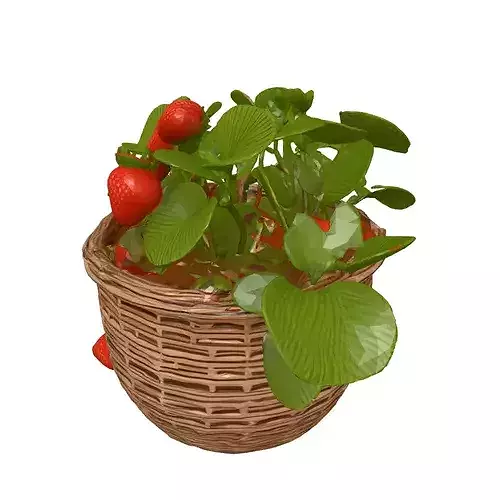 Realistic Strawberry Plant Basket Model 3D model 3