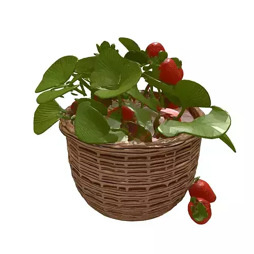 Realistic Strawberry Plant Basket Model 3D model 7