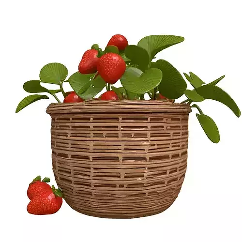 Realistic Strawberry Plant Basket Model 3D model 5