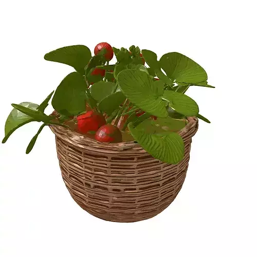 Realistic Strawberry Plant Basket Model 3D model 6