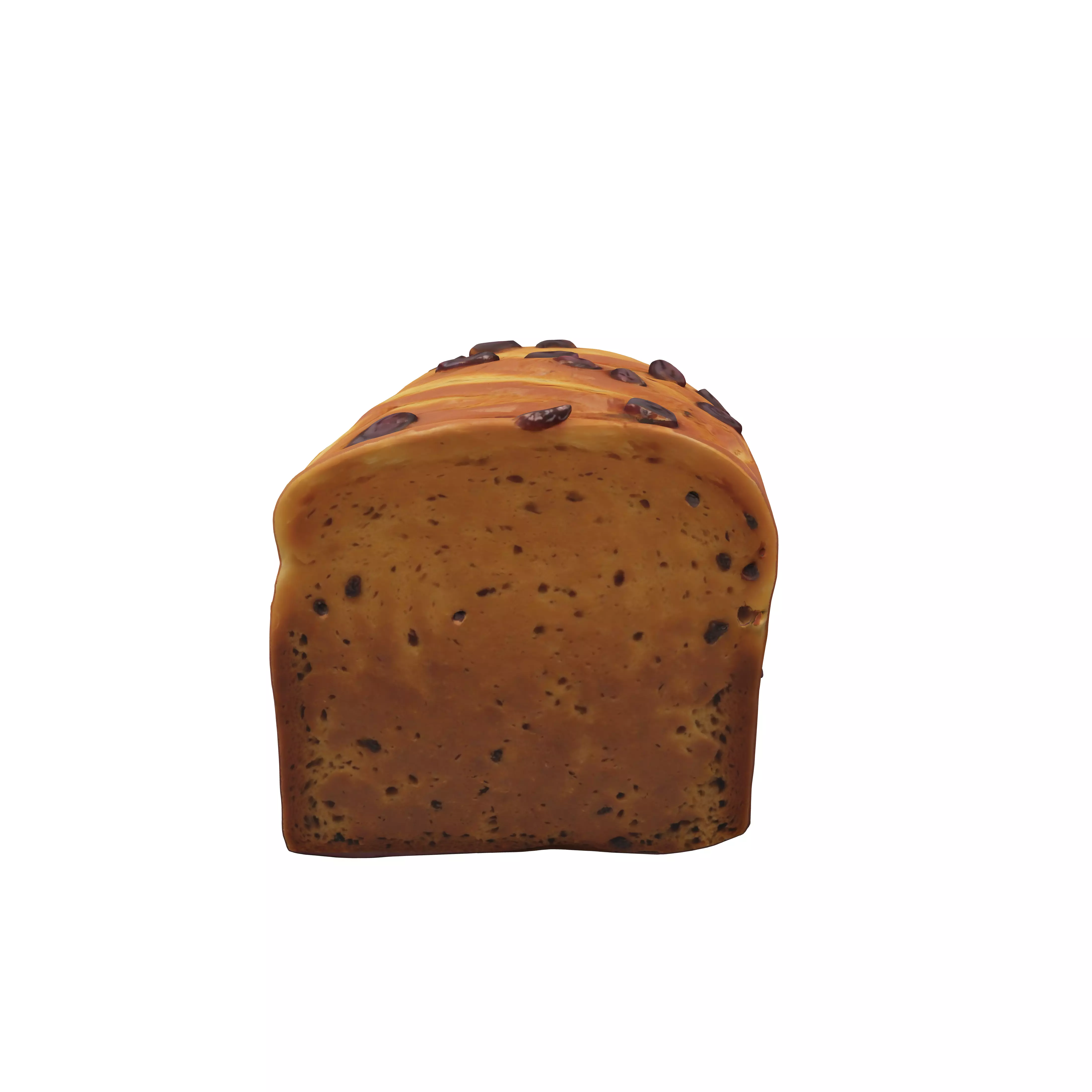 Raisin Delight 3D model