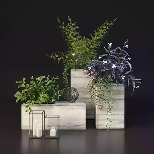Decor set with plants