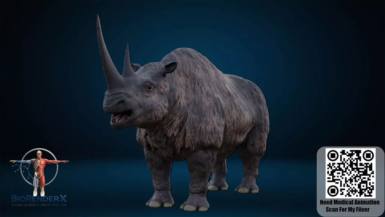 Woolly Rhinoceros Riggid Ice Age Prehistoric Animal Low-poly 3D model