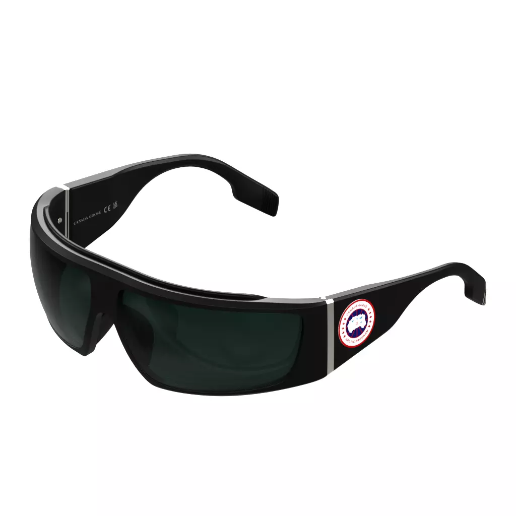 Canada Goose Sunglasses GC25600S 002 Low-poly 3D model